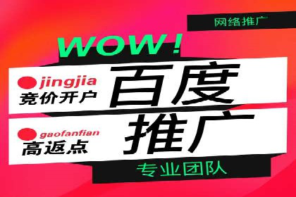 百度推广优化策略案例分析